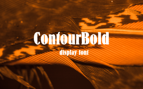 Give Contour Bold a Natural Place in Your Digital Typeface Toolkit
