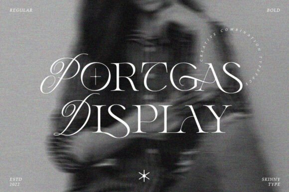 Portgas Display: A Web Designer’s Honest Review